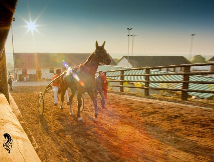 Graignes Hippodrome Petite Vincennes