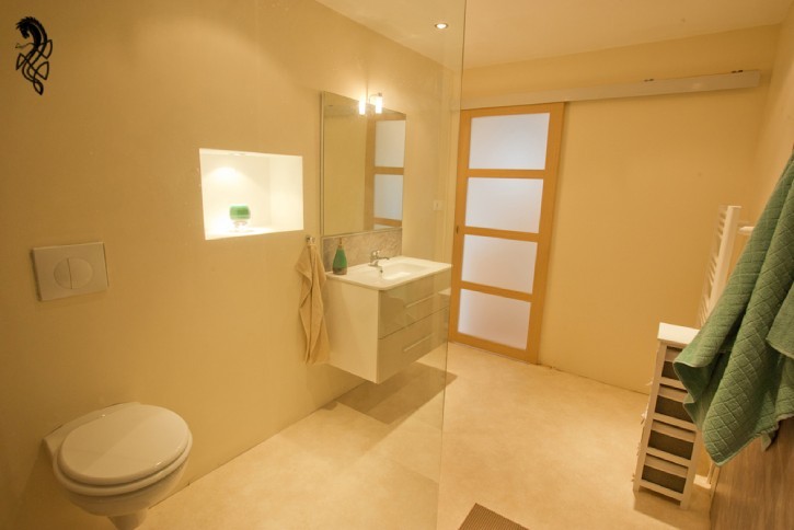 Bathroom from Shower Area