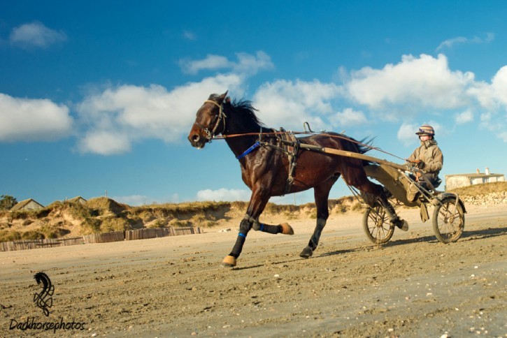 Petite Vincennes Trotters @ Utah Beach