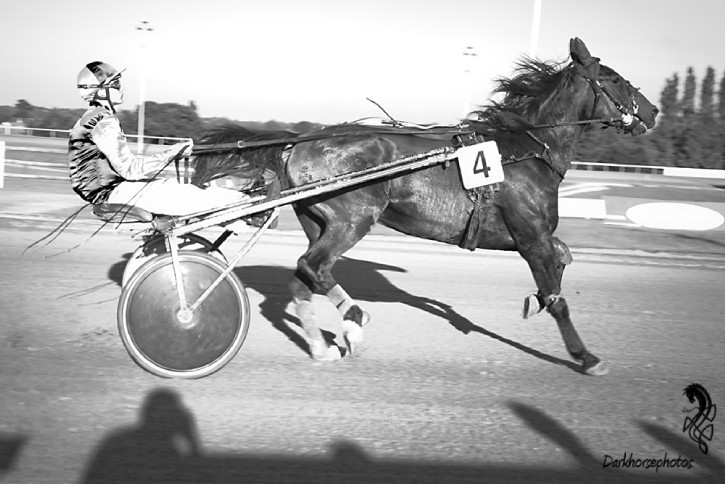 Graignes Hippodrome Petite Vincennes